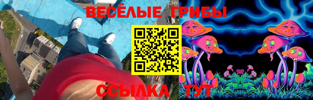 Чита  Псилоцибиновые грибы ЛСД  Псилоцибиновые грибы мухоморы  Вход с VPN 