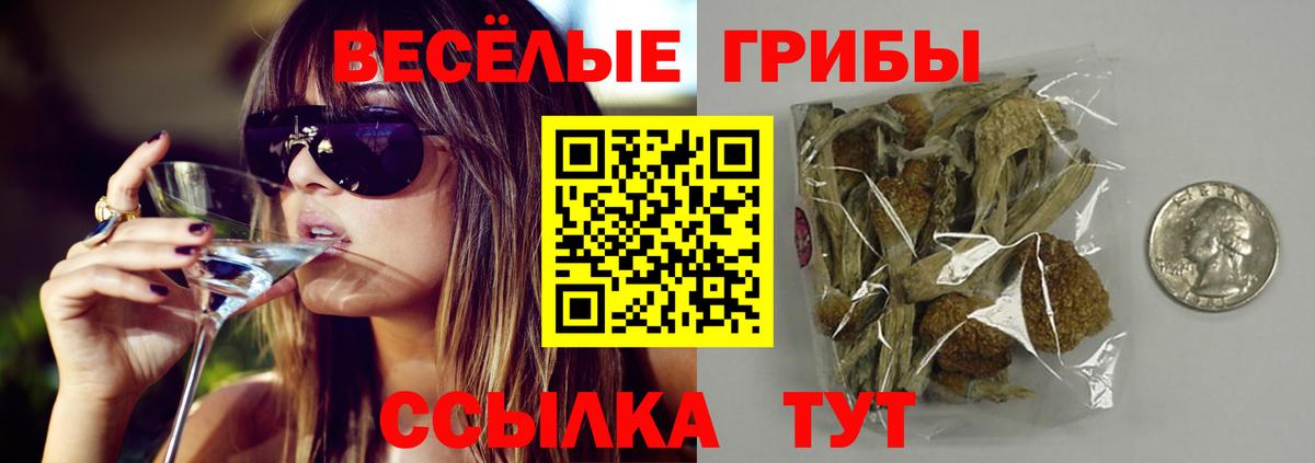 Галлюциногенные грибы Psilocybine cubensis Чита